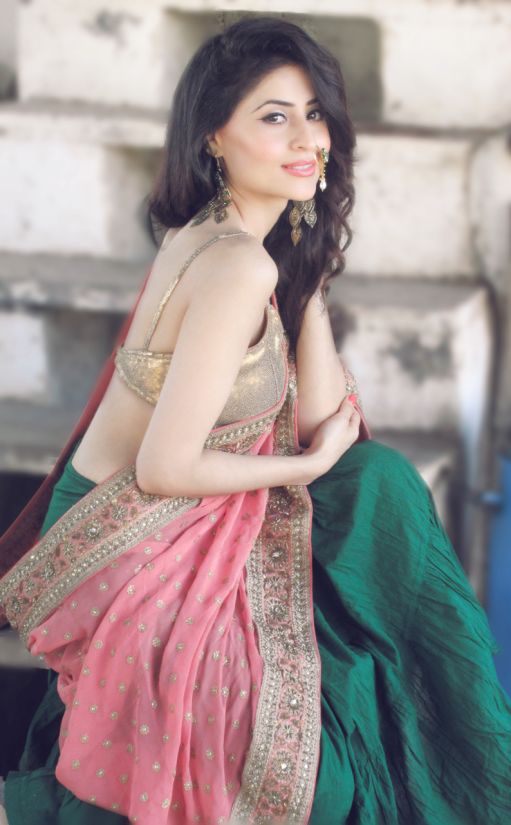 Actress Sonal Minocha Photo Shoot Images (13)