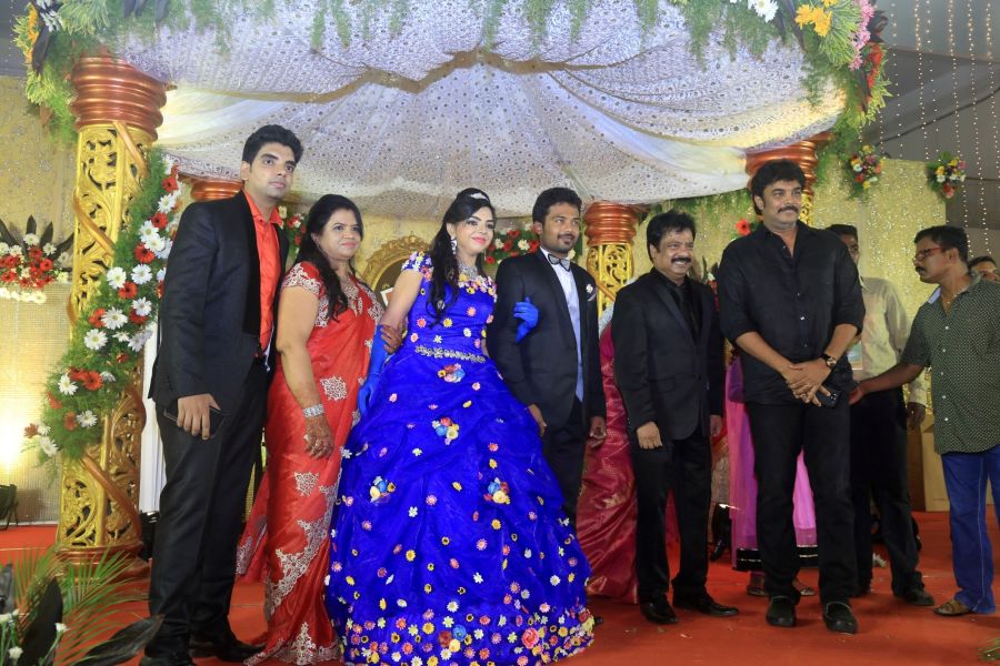 Director R Pandiarajan Son Prithvirajan Wedding Reception Stills (17)