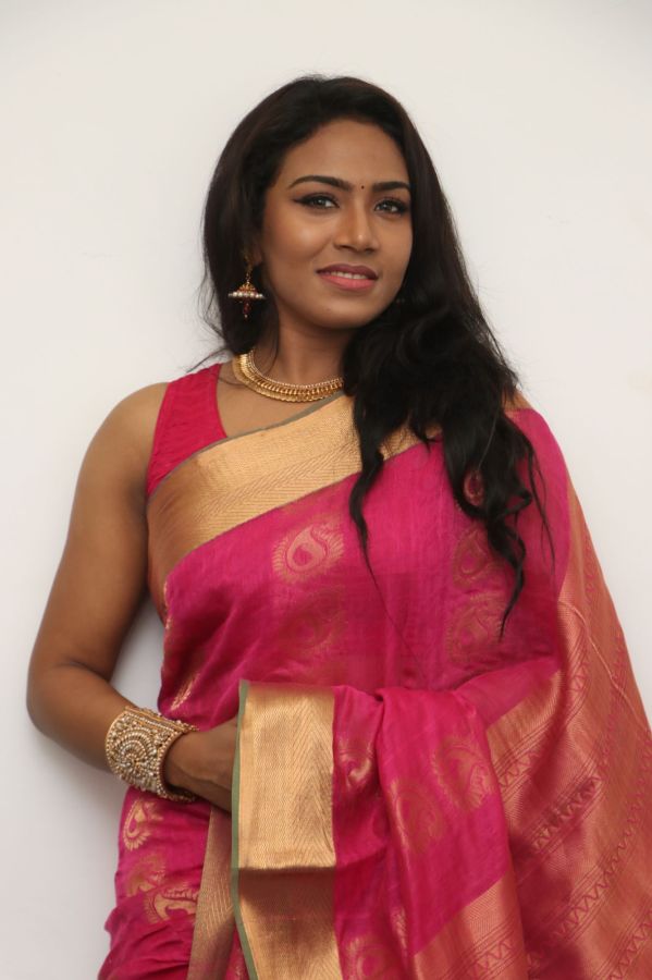 Saravanan Irukka Bayamaen Press Meet Stills (36)